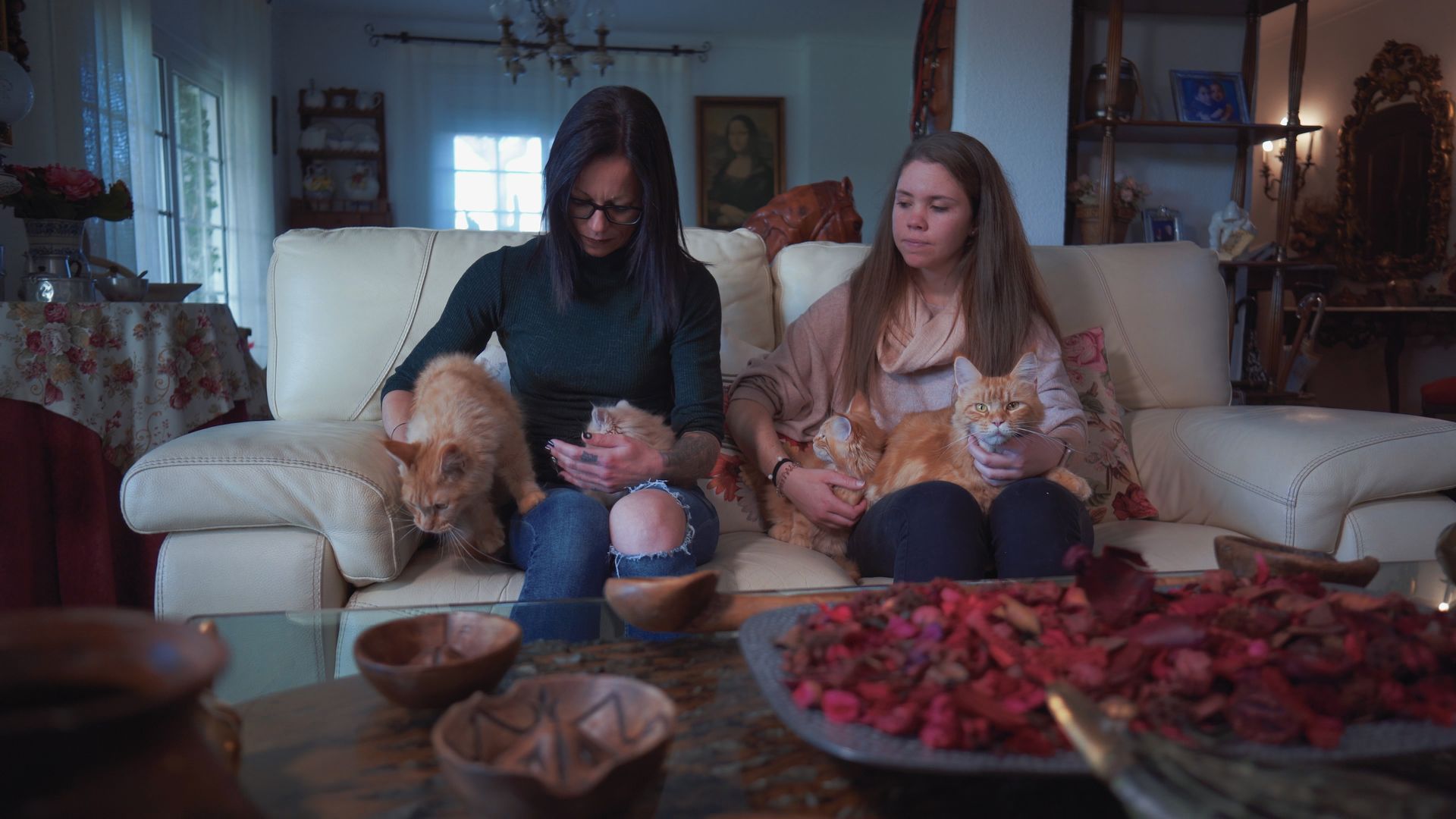 Compartiendo sofá con gatos – Cuánto cuesta mantener un gato con Topcats Dos mujeres sentadas en un sofá acariciando a varios gatos naranjas en el interior de un salón cálido y decorado, con expresión de cariño y tranquilidad. Esta imagen ilustra la convivencia diaria con varios felinos y nos invita a reflexionar sobre cuánto cuesta mantener un gato cuando se integra plenamente en el hogar.